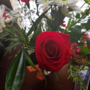 Meet your Posher, Sandra